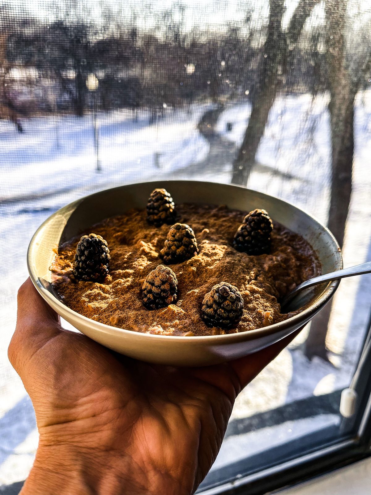 A bowl of porridge with fruit